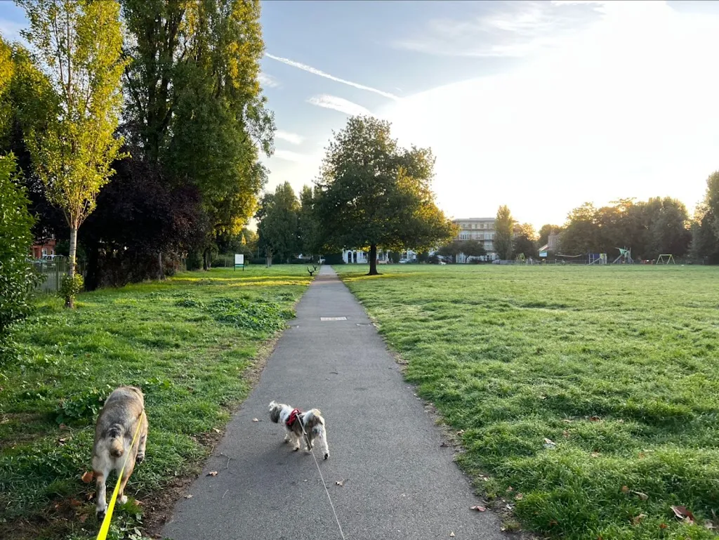 Stamford Brook Common