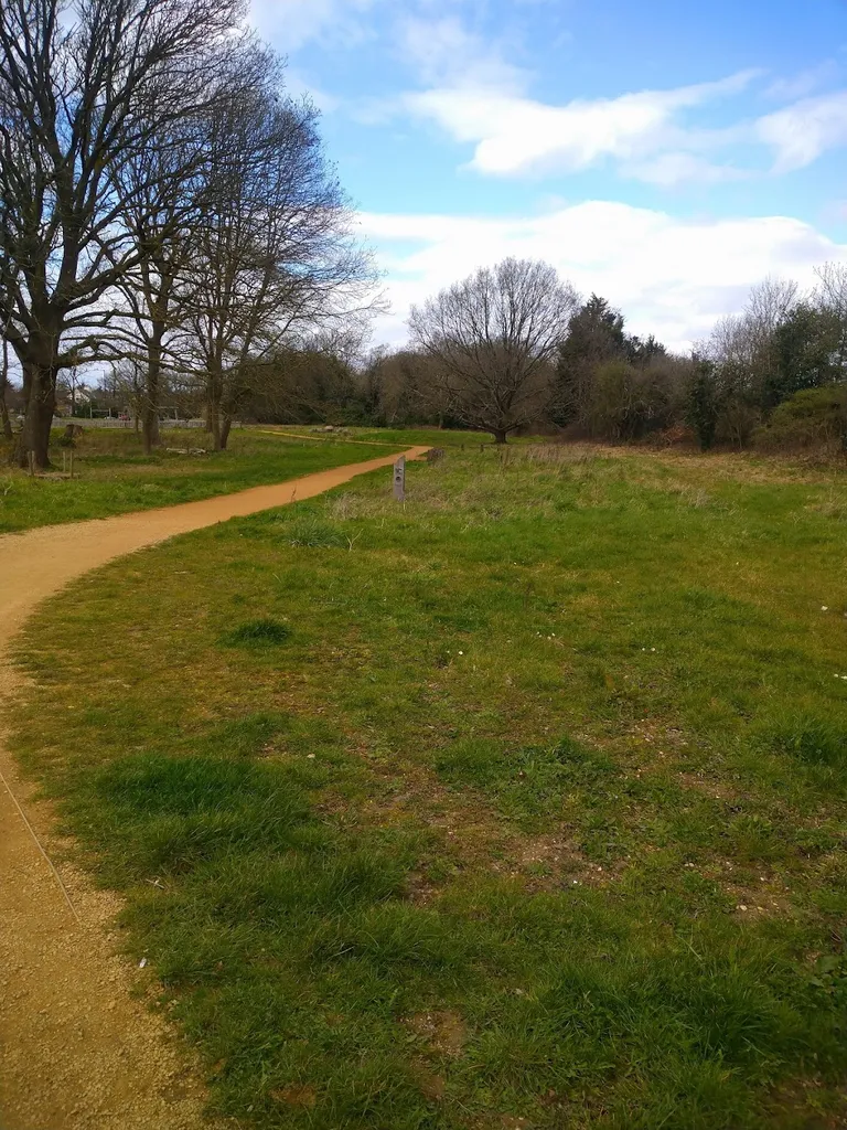 Stanmore Marsh