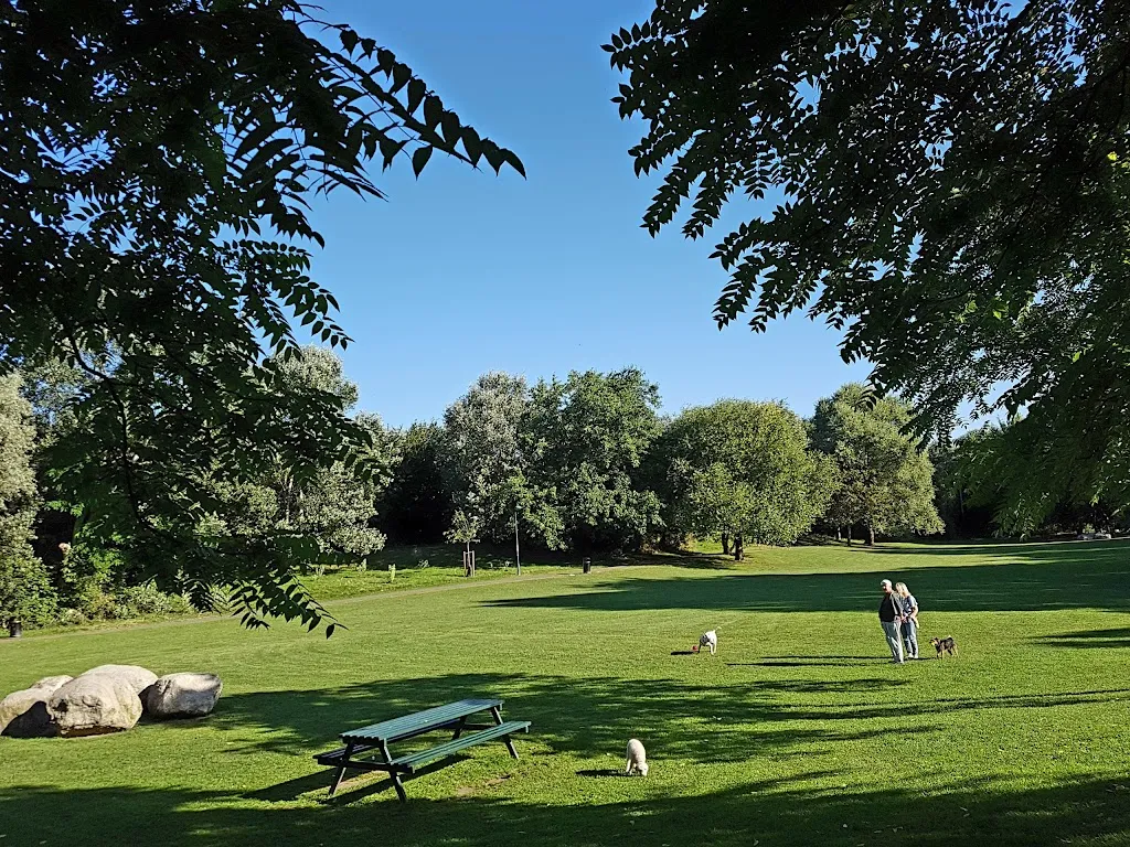Stave Hill Ecological Park - TCV