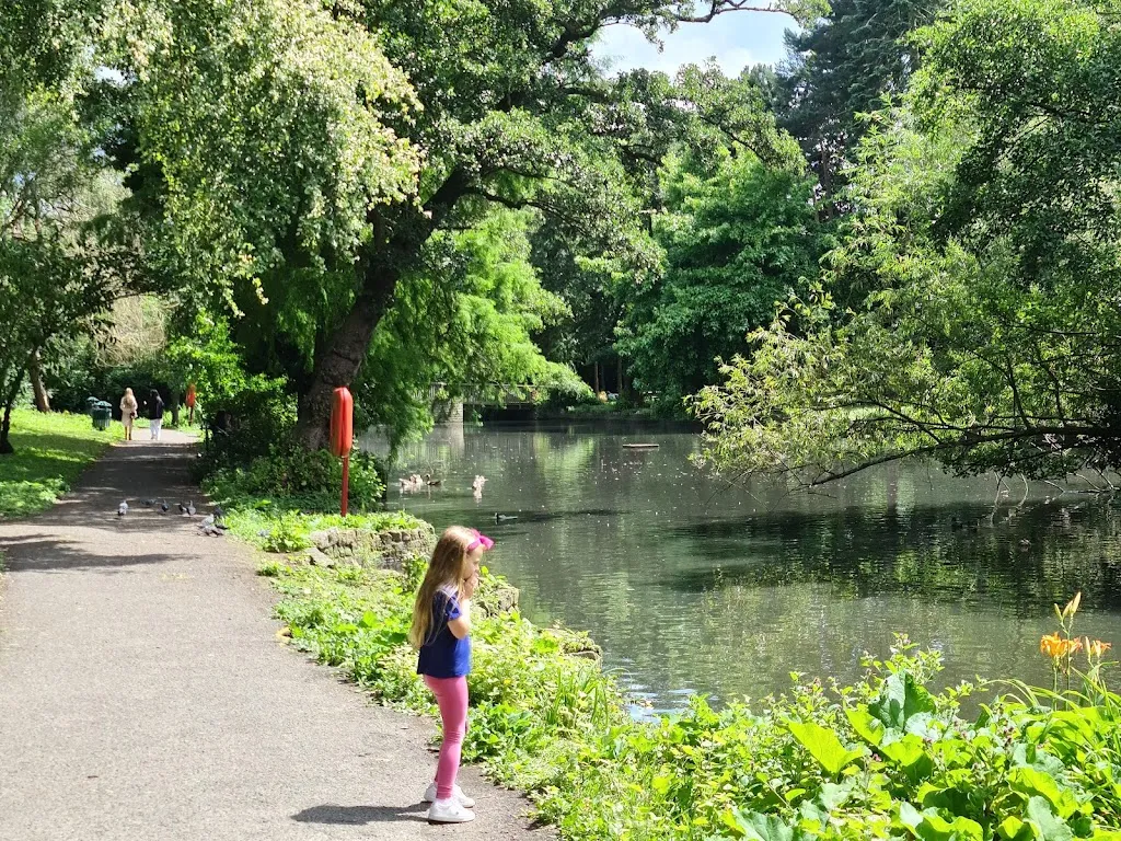 Tarn Bird Sanctuary