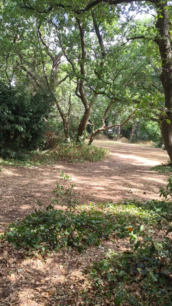 Tarzy Wood