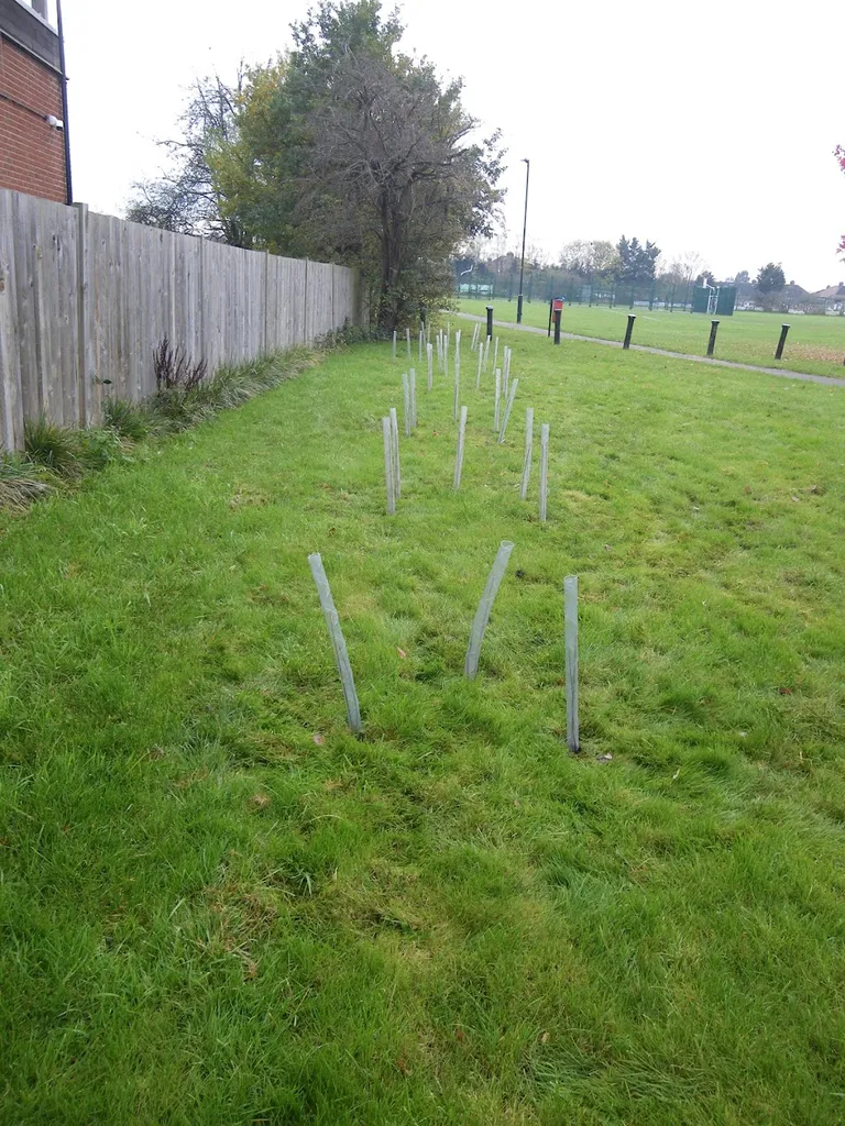 Tenterden Sports Field