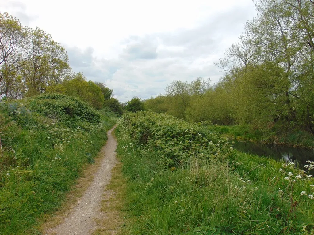 Thames Road Wetland