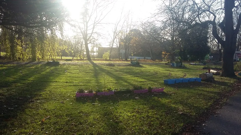 The Ache Garden