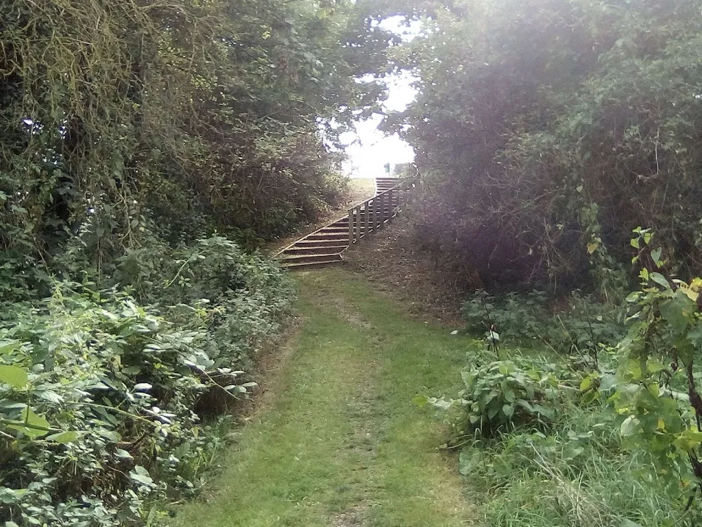 The Dell