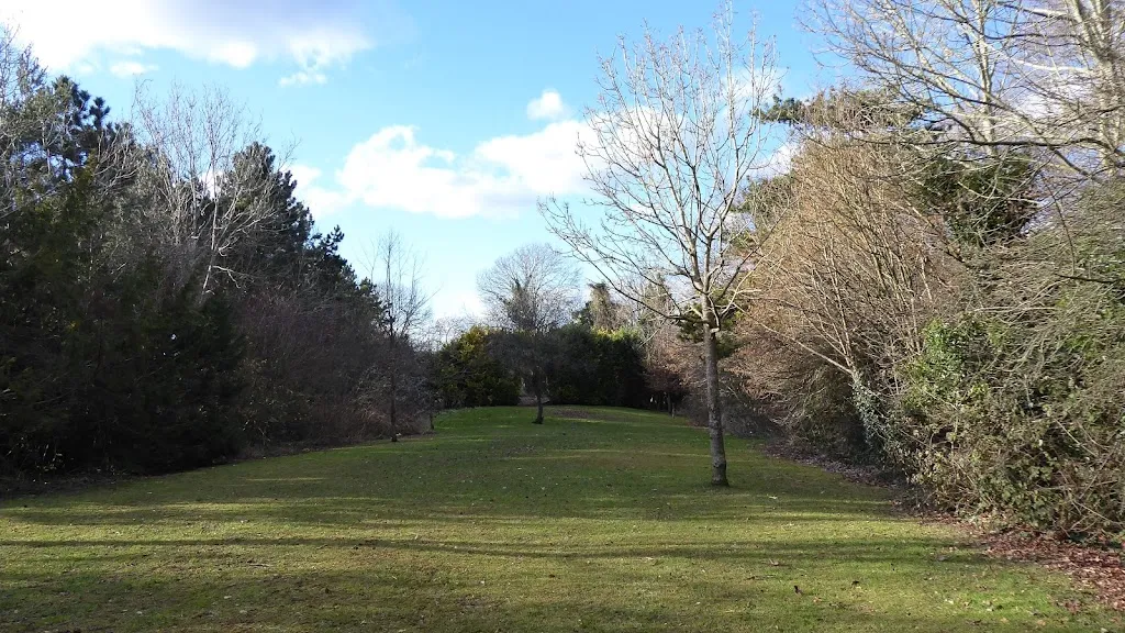 The Glade