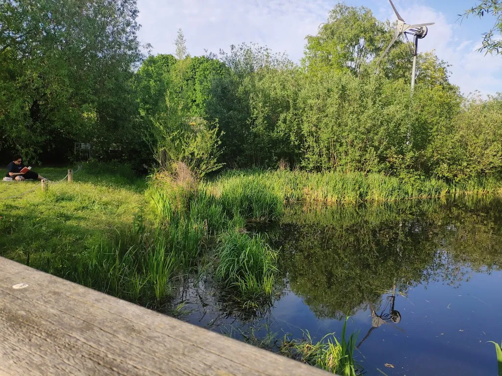 The Lovely Lake
