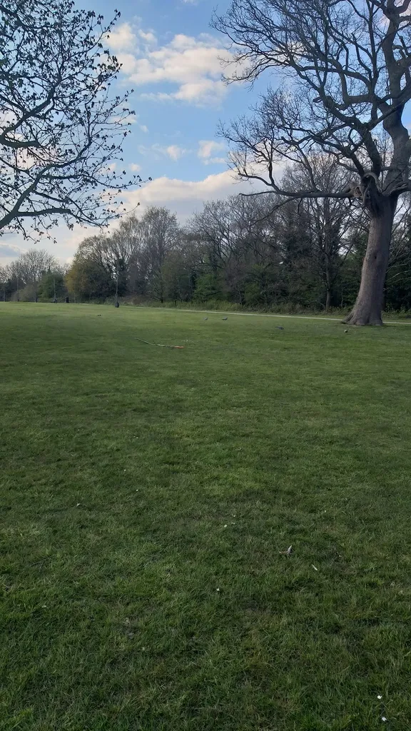The Meads Open Space