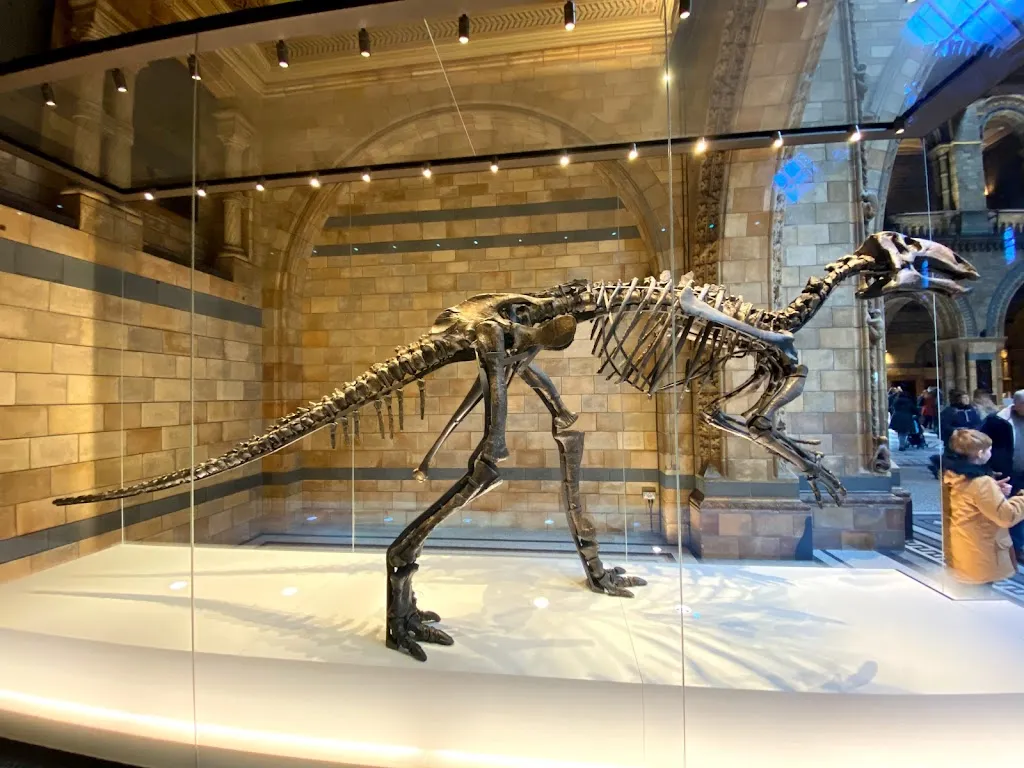 The Natural History Museum Shop