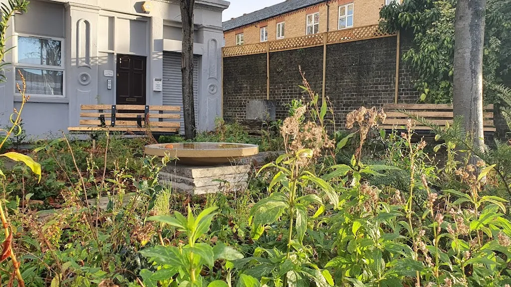 The Octopus Garden