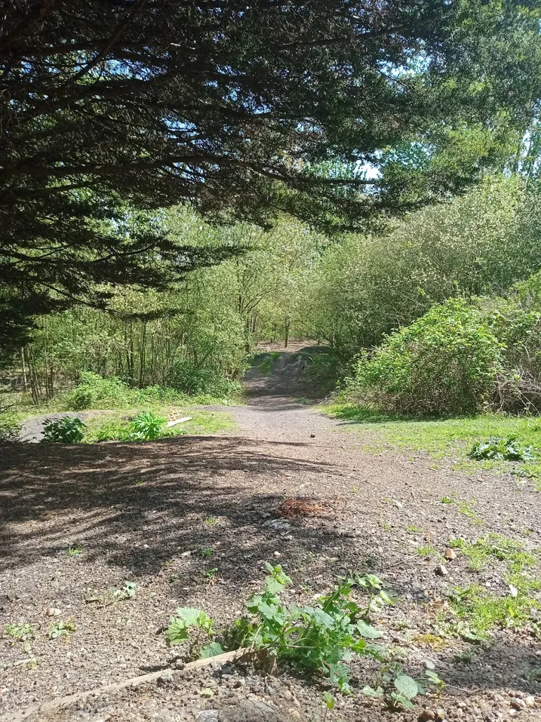 The Old Uxbridge Ski Slope