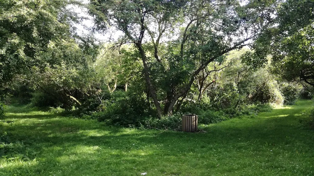 The Paddock