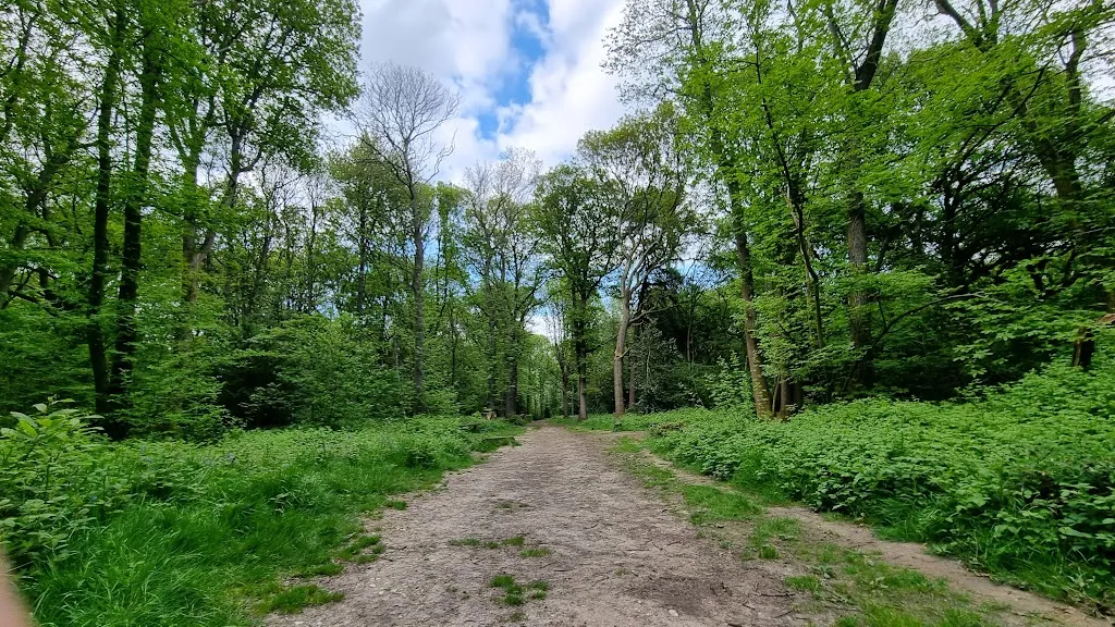The pond of Linden Glade