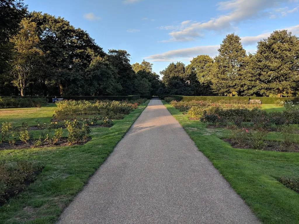 The Rose Garden