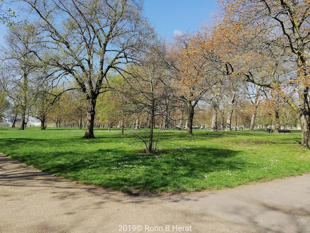 The Royal Parks