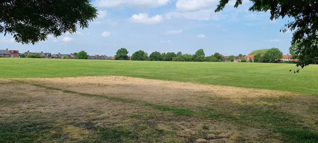 Thomas Wall Park