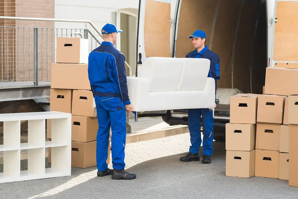 Thomas & Young Removals Limited