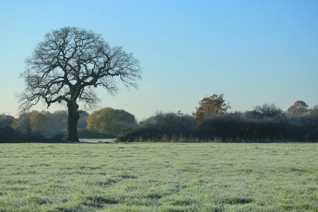 Tolworth Court Farm Fields