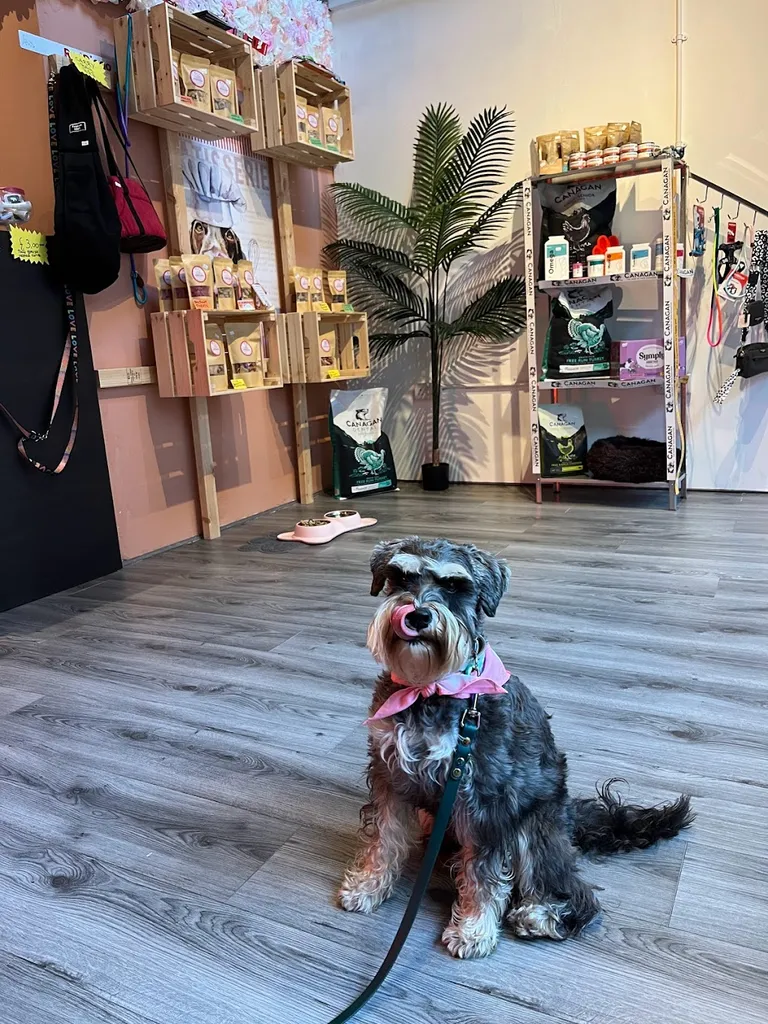 Tongues and Tails Dog Bakery and Store