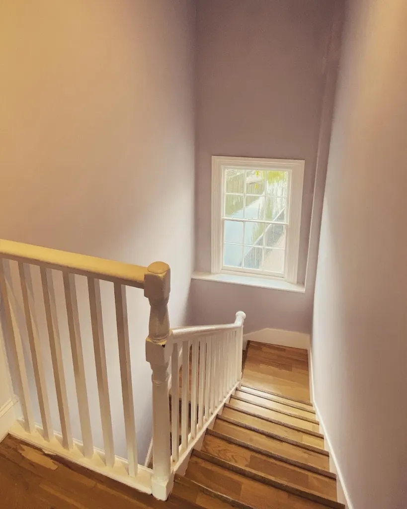 Top Dec Painting Ltd
