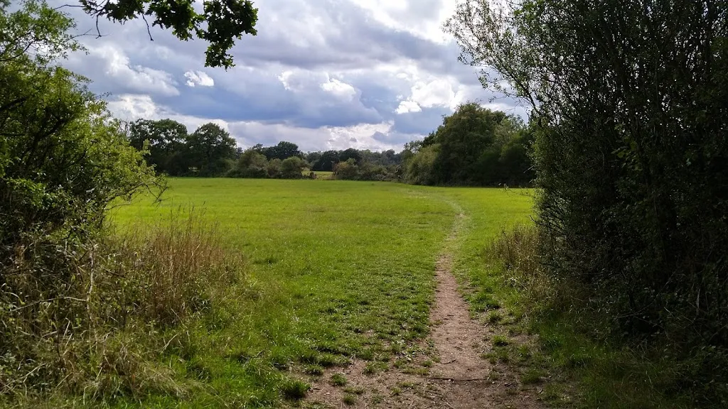 Totteridge Fields