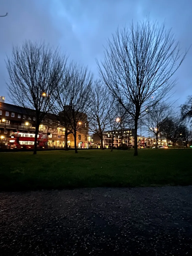 Trinity Gardens