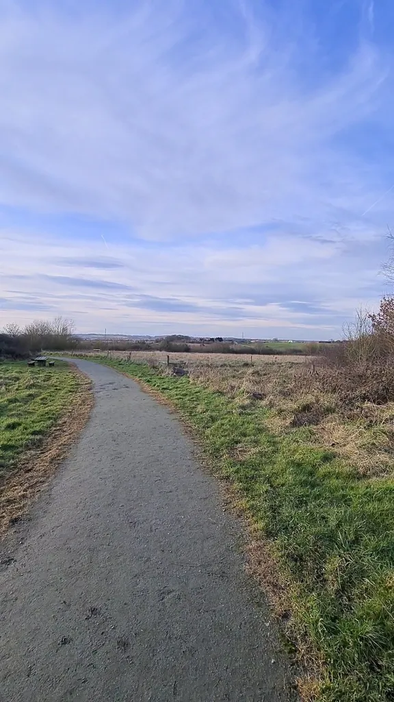 Tylers Wood - Thames Chase Woodlands