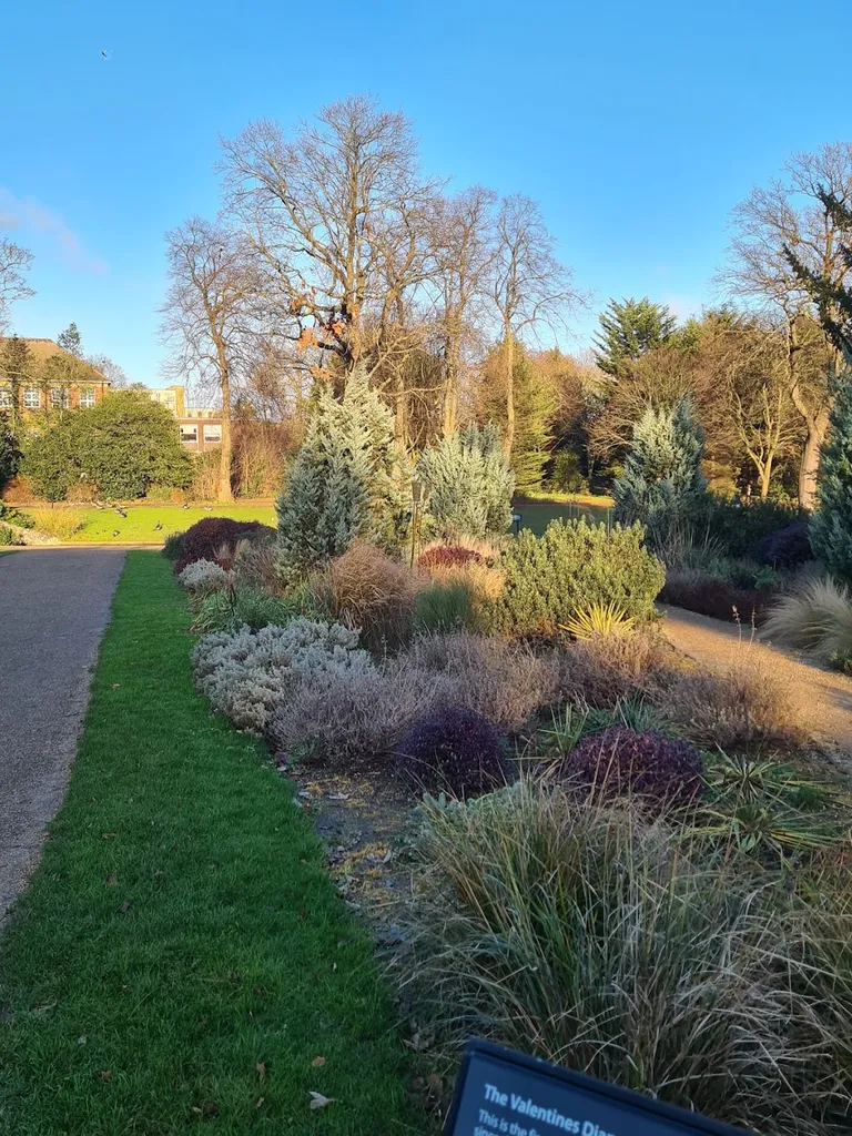Valentines Diamond Jubilee Dry Garden