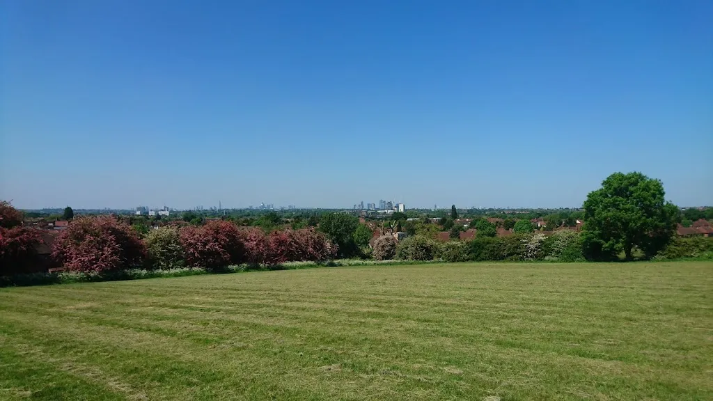 Vista Field