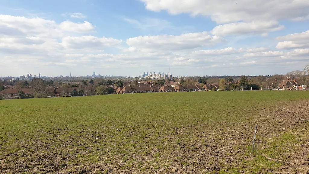 Vista Field View Point