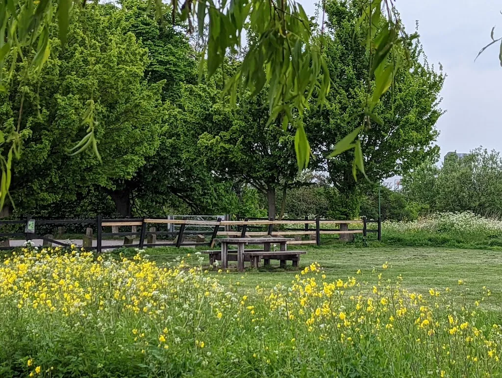 Walthamstow Marshes
