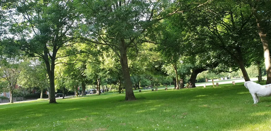 Wandsworth Common