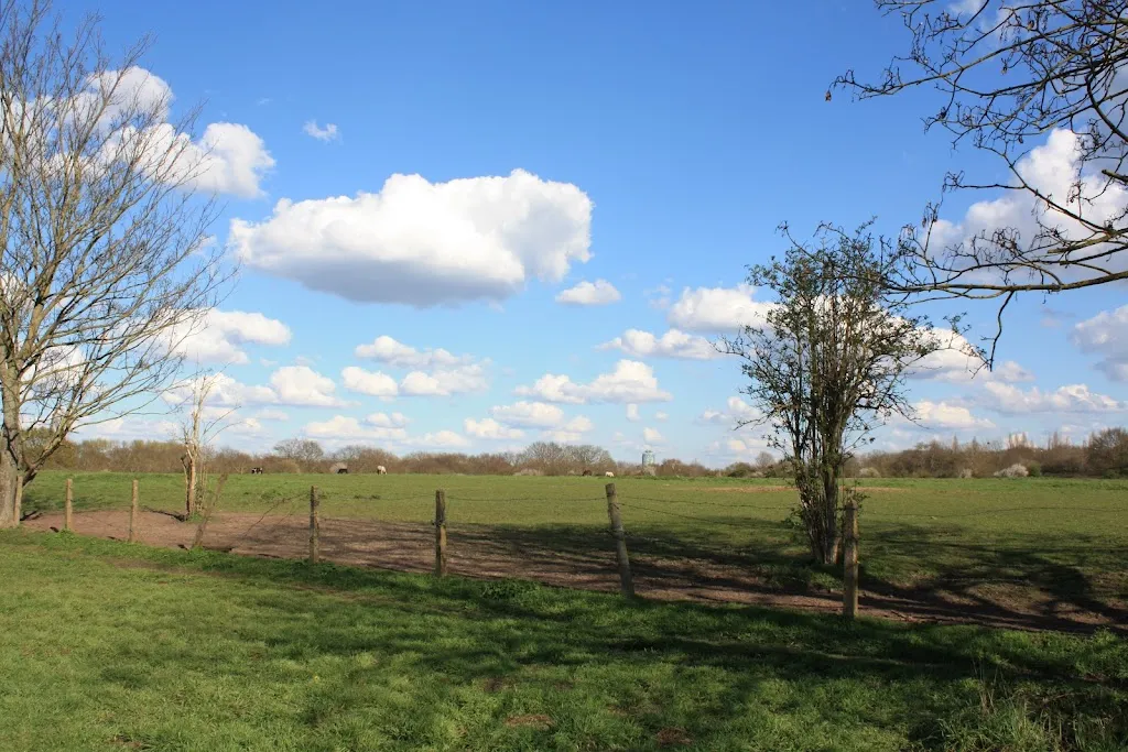 Warren Farm Nature Reserve