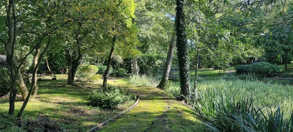Water Garden