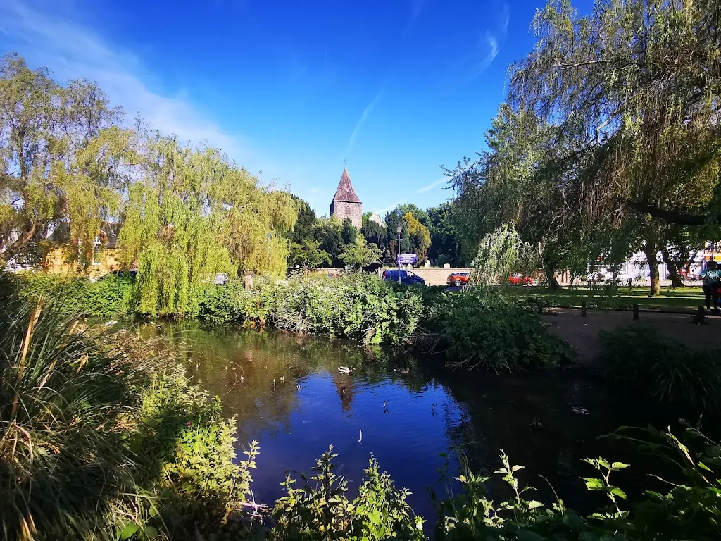 Watermeadows Open Space
