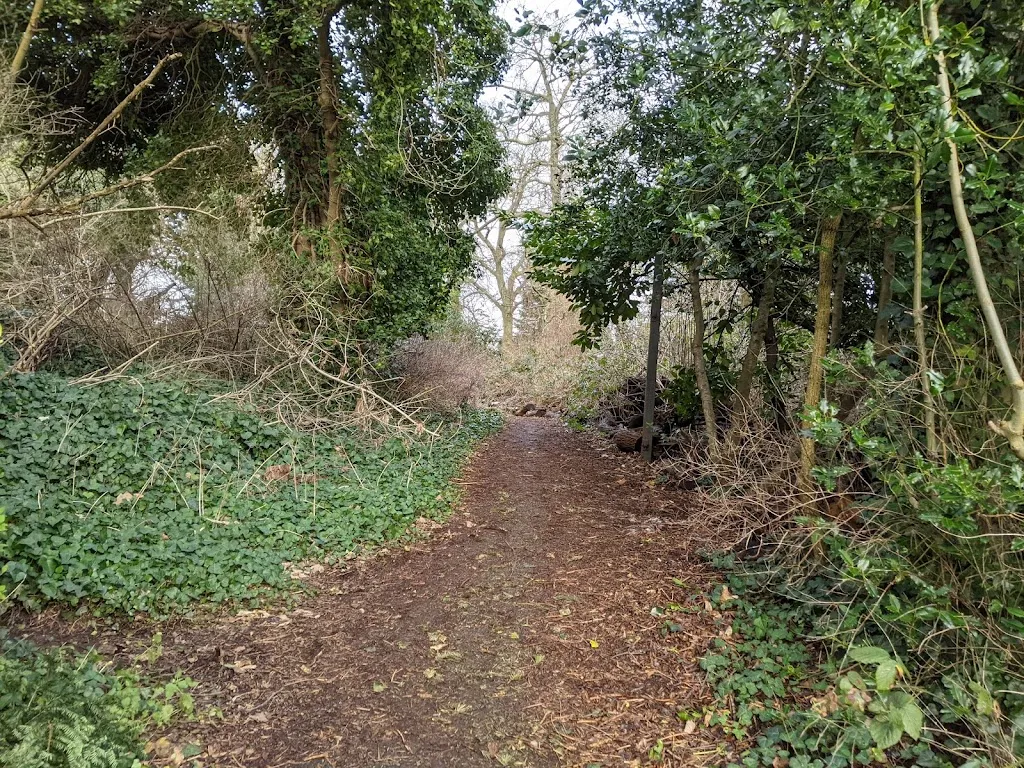 Wells park -woodland trail