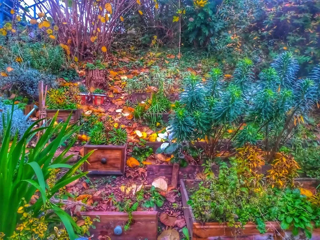 Westbury Avenue Herb Garden