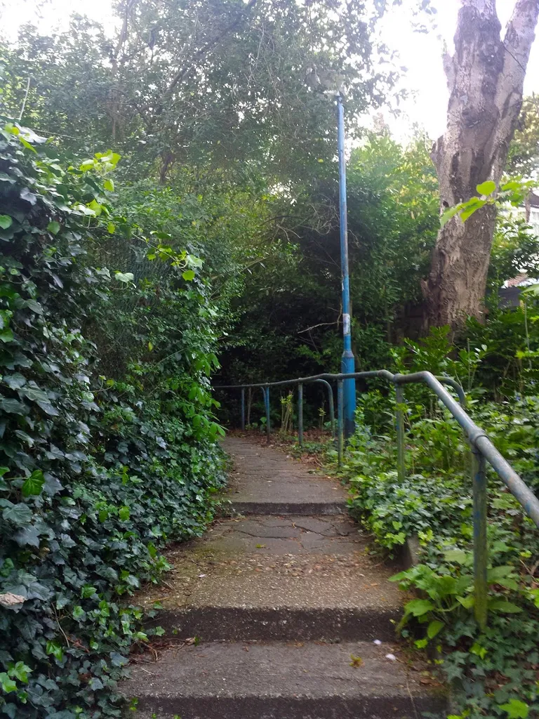Westcombe Woodlands Dell
