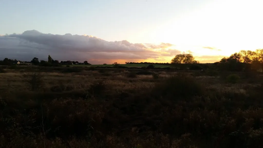 White Hart Fields