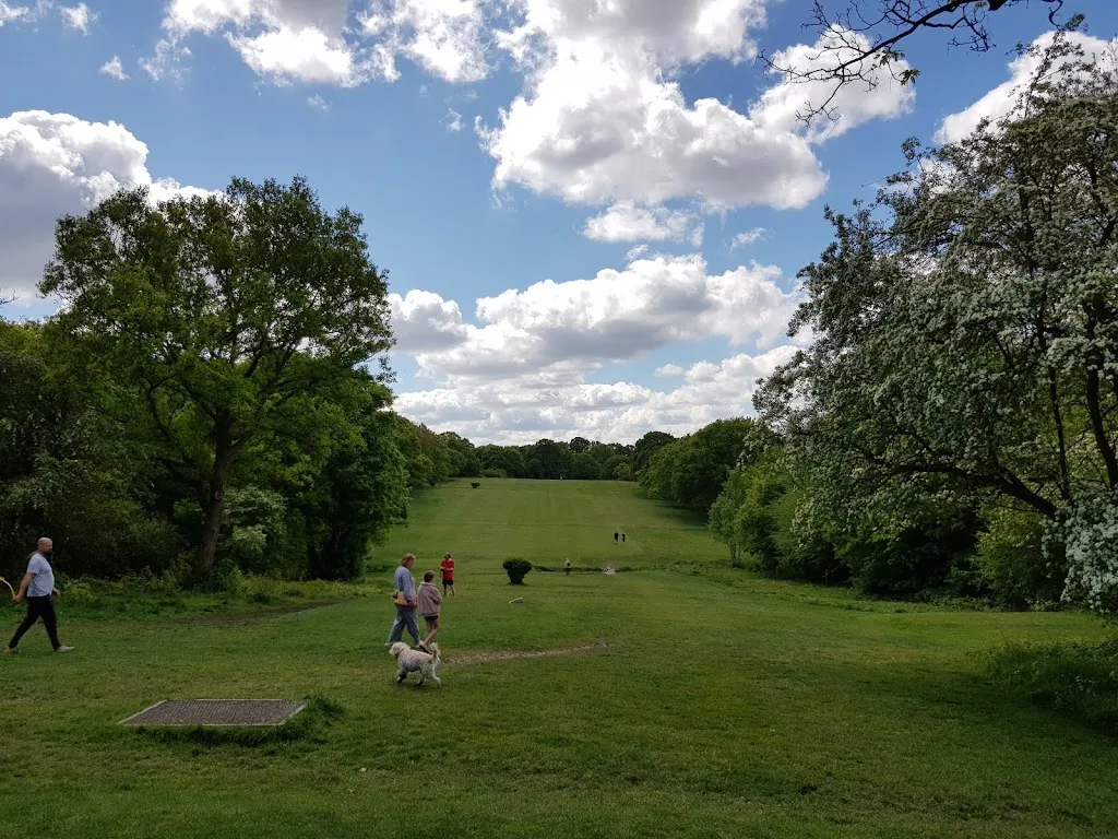 Whitehall Plain