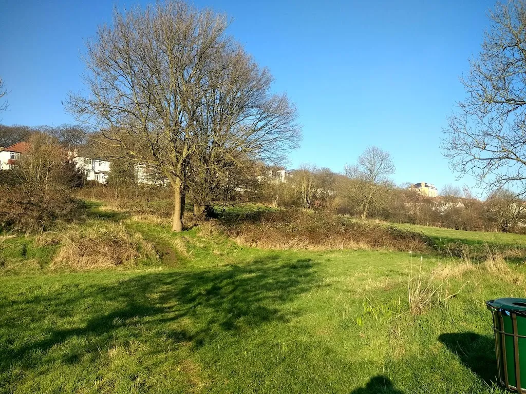 Whitehorse Meadow
