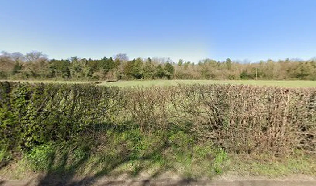 Whitelands Wood (High Elms)