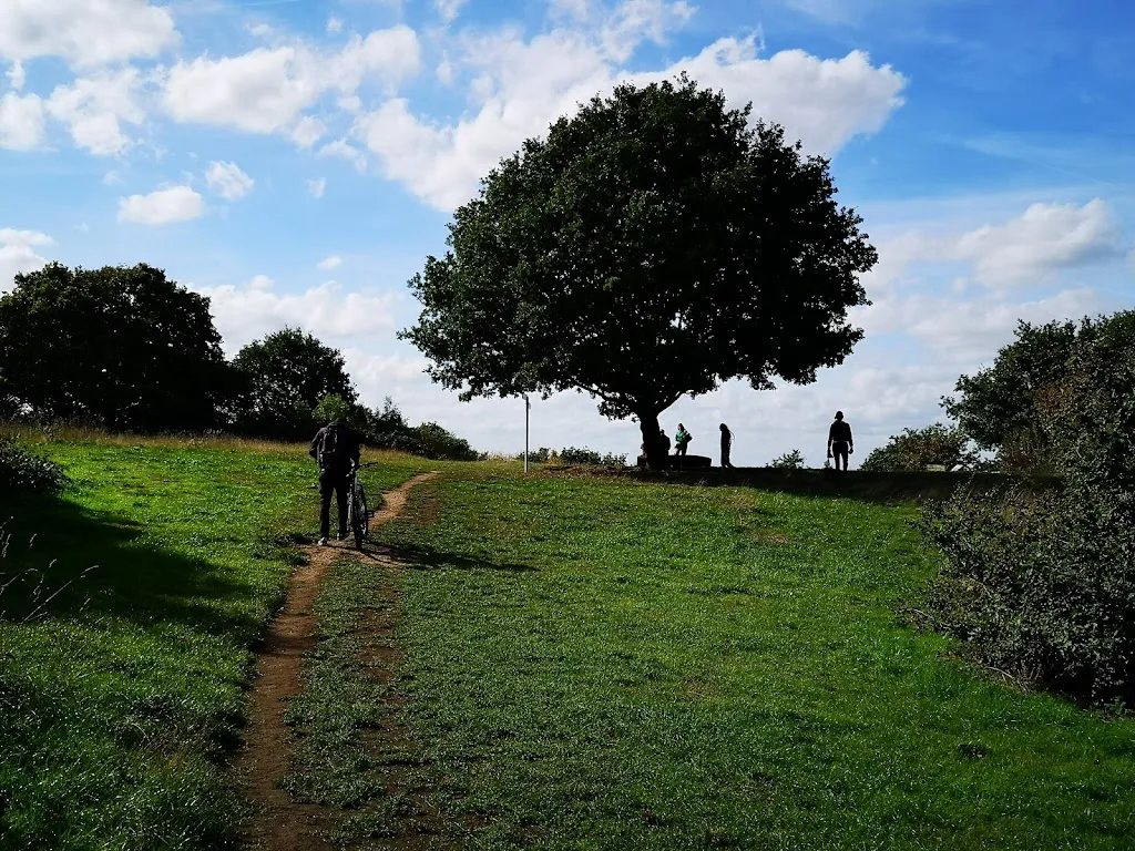 Whittlers Wood