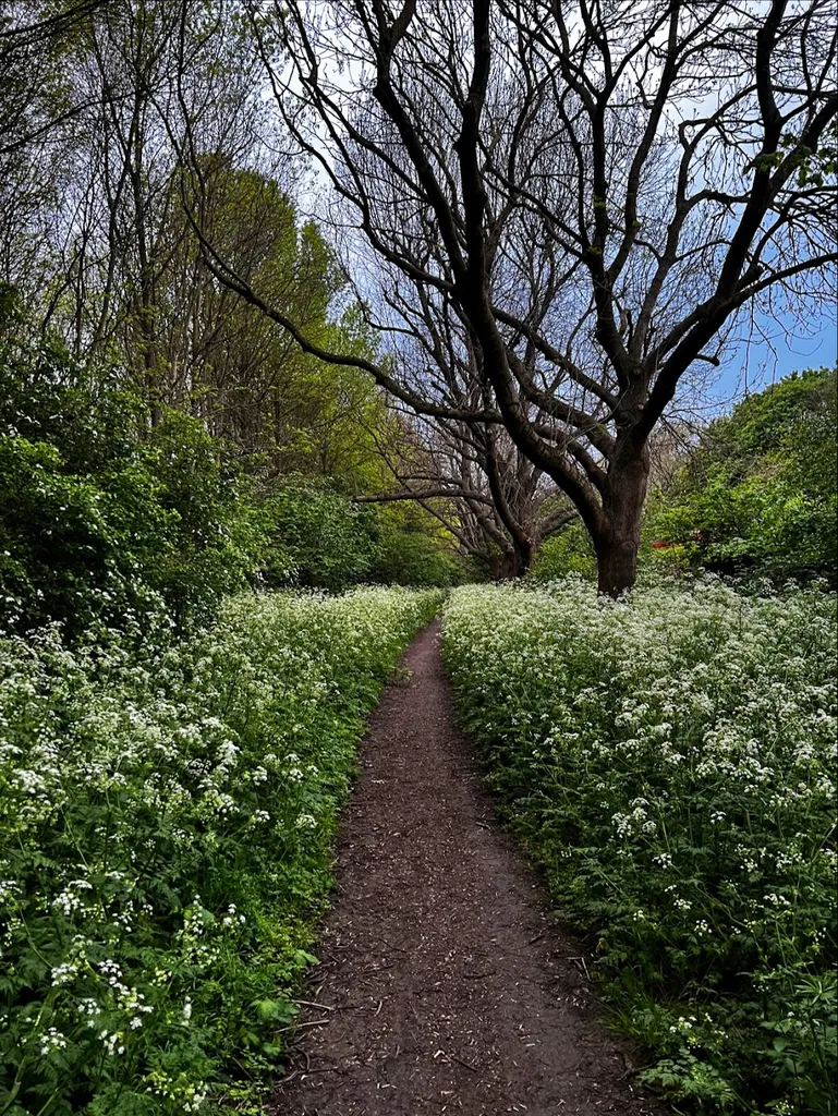 Wick Woodland