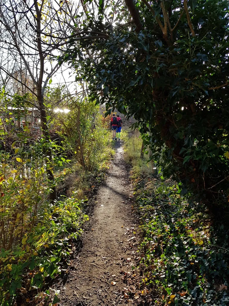 Wild Cat Wilderness
