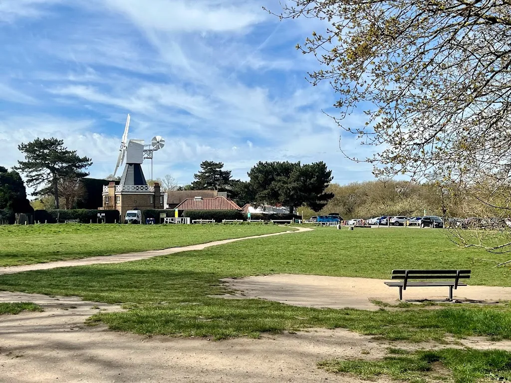 Wimbledon and Putney Commons
