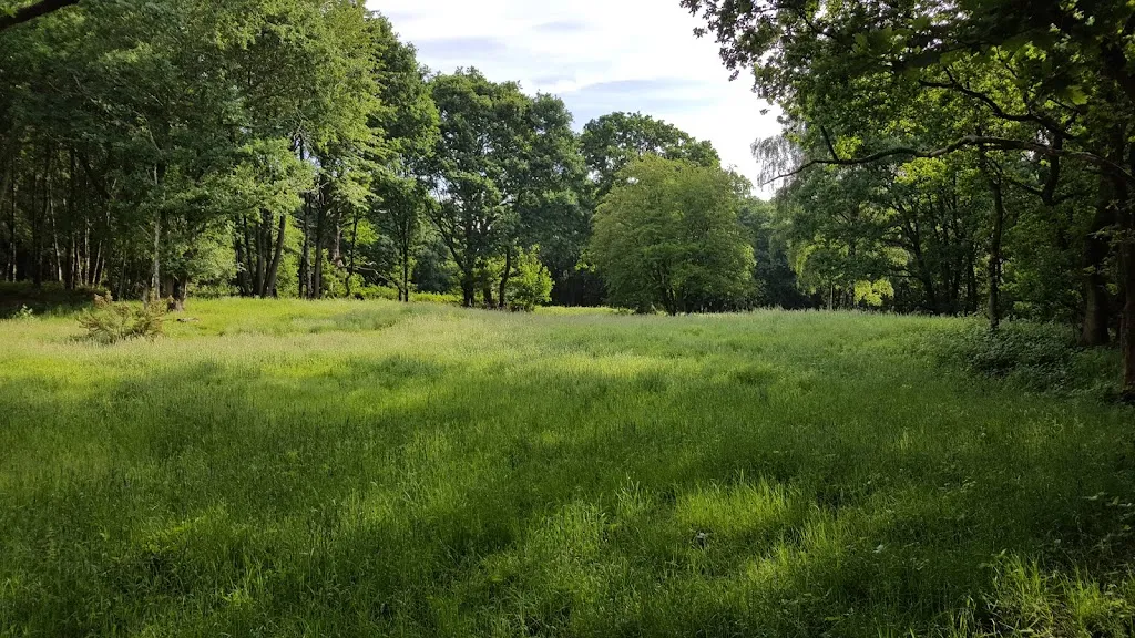Wood Farm