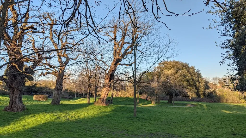 Wood Green Common