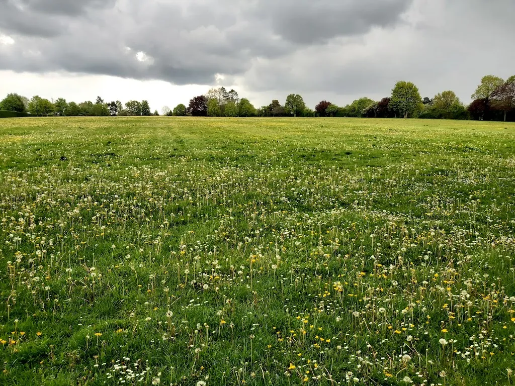 Woodcote Grove Recreation Ground