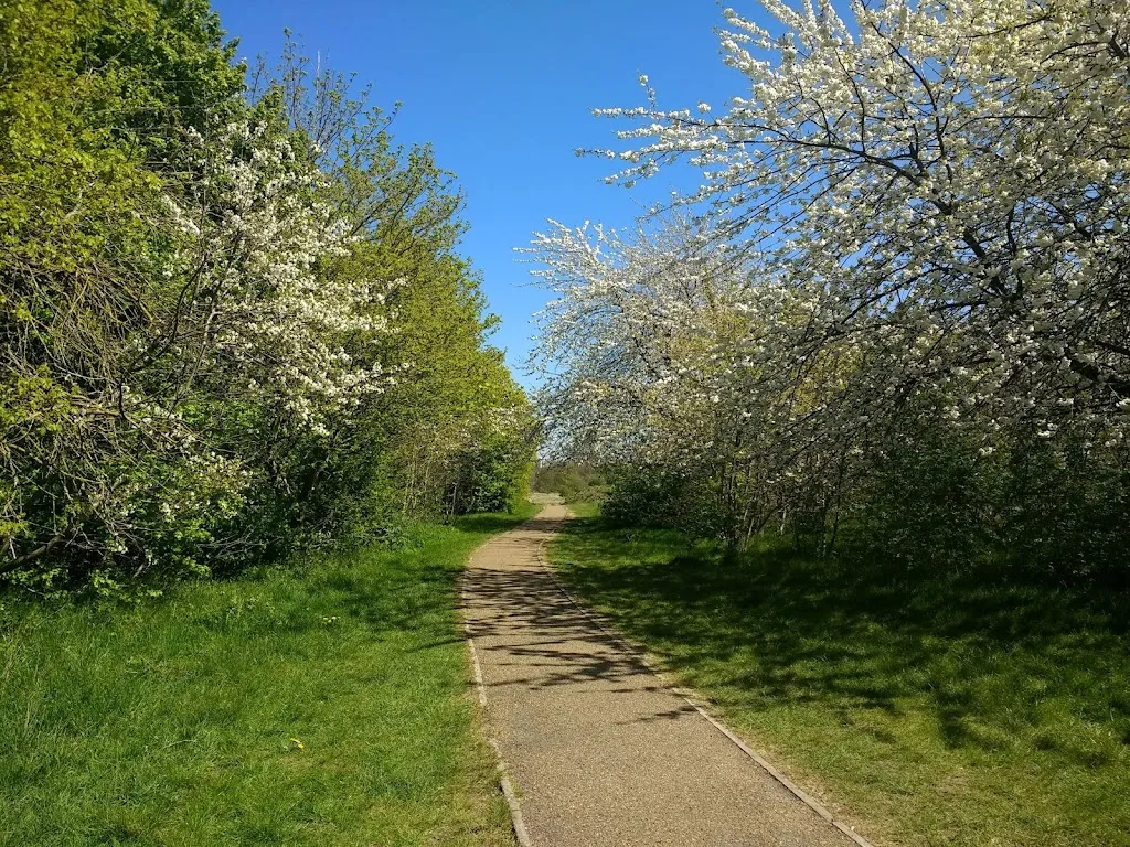 Woolwich Common